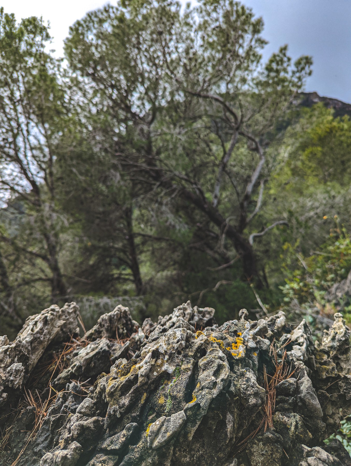 Local hiking Marxuquera